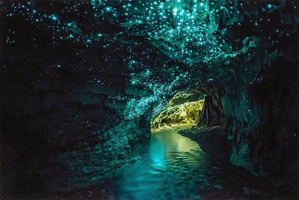 Waitomo Glowworm Cave New Zealand
